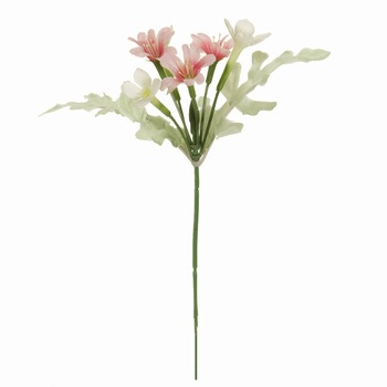 ブバリアフラワーピック MAGIQ(東京堂)