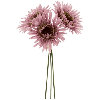 ナナガーベラピック MAGIQ(東京堂)