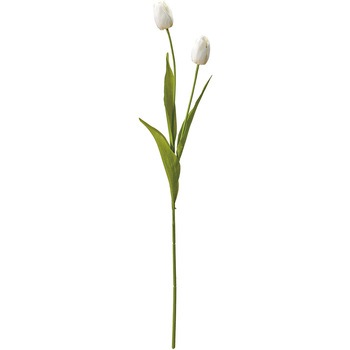 FM007846-001 �c�C���`���[���b�v ������ 20749394