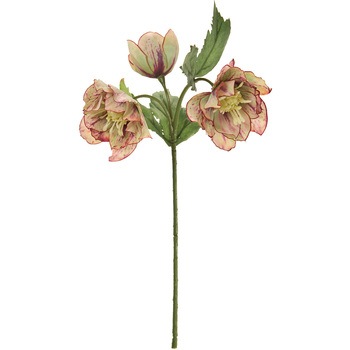 FM008151-025 �t�����N���X�}�X���[�Y MAGIQ(������) 20749577