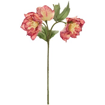 FM008151-042 �t�����N���X�}�X���[�Y MAGIQ(������) 20749586