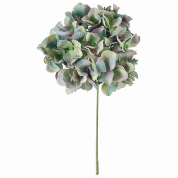 アーベントハイドレンジア MAGIQ(東京堂)