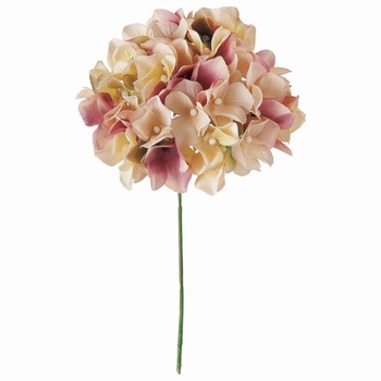 アーベントハイドレンジア MAGIQ(東京堂)