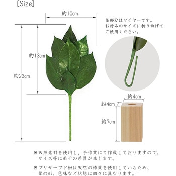 榊 榊立てセット A&K