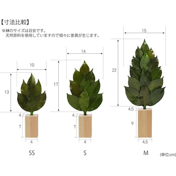 榊 榊立てセット A&K