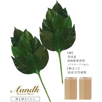 榊 榊立てセット A&K