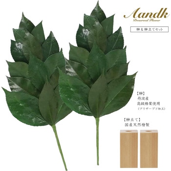 榊 榊立てセット A&K