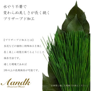 荒神松 榊立てセット A&K