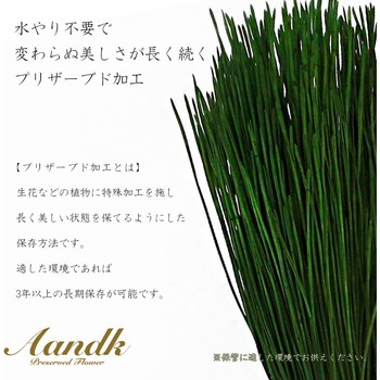 関東式荒神松 榊立てセット A&K