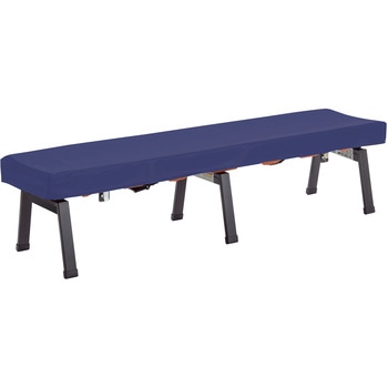 クッション付きレスキューボードベンチ 脚部ブラック テラモト