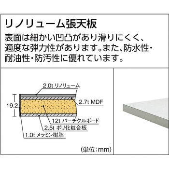 軽量作業台(下棚付)RAE型 TRUSCO