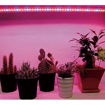 補光用 ディスプレイ用led 植物育成ledライト 1個 アズワン 通販サイトmonotaro