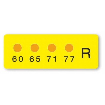 ヒートラベル 不可逆性 4点表示ミニ ミクロン