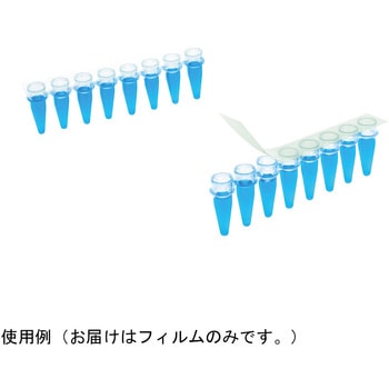 PCR用保護フィルム eXTReame Seal - Excel Scientific