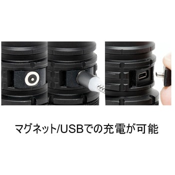 LEDライト POWERTAC WORRIOR G4-FL オーストリッチ