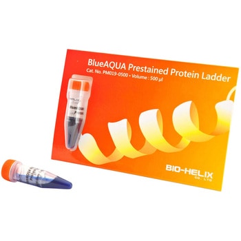 着色済みタンパク質ラダーマーカー 1袋 500μL入 BioHelix
