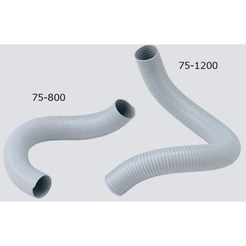 75-800 dtL_Ng AY 20859475