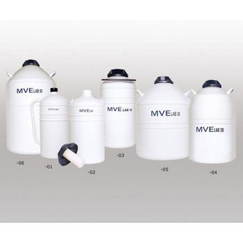 LAB4 �t�̒��f�ۑ��e�� �`���[�g 20866423