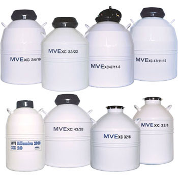 XC20Millenium �t�̒��f�e�� �`���[�g 20897187