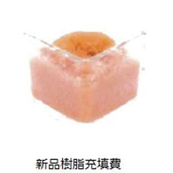 イオン交換樹脂 新品樹脂充填費 アズワン