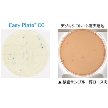 EasyPlate キッコーマンバイオケミファ