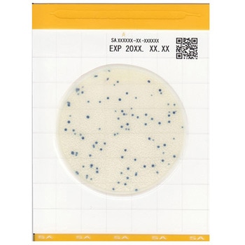 EasyPlate キッコーマンバイオケミファ