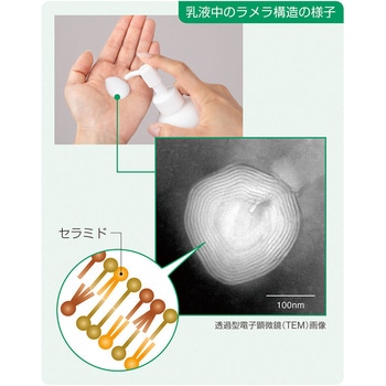 リモイス ラメラ保湿ミルク 保湿性スキンケア乳液 - アルケア