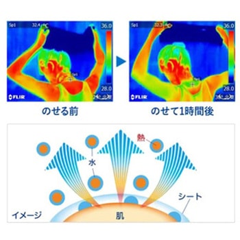 ビオレ冷タオル 花王