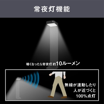 ソーラー式無線連動ガーデンセンサーライト(送受信型) ライテックス(ムサシ)