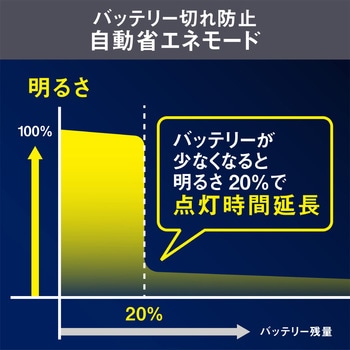 ソーラー式無線連動ガーデンセンサーライト(送受信型) ライテックス(ムサシ)