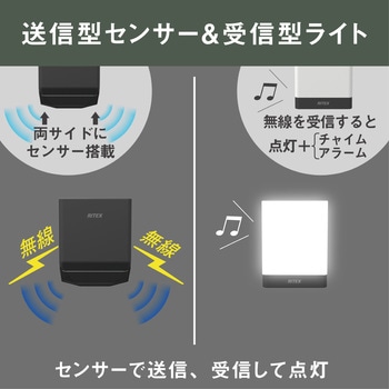 乾電池式無線連動チャイム&ライト(受信型)+センサー(送信型)セット ライテックス(ムサシ)