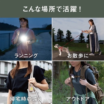 充電式 ぴかり MINI LIGHT ライテックス(ムサシ)