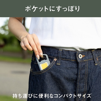 充電式 ぴかり MINI LIGHT ライテックス(ムサシ)