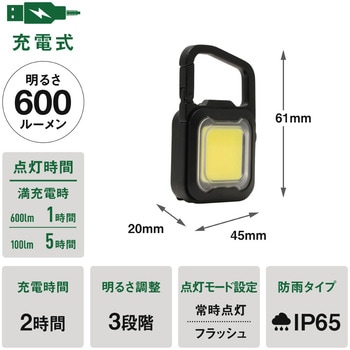 充電式 ぴかり MINI LIGHT ライテックス(ムサシ)