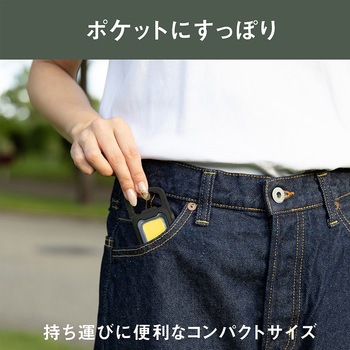 充電式 ぴかり MINI LIGHT ライテックス(ムサシ)