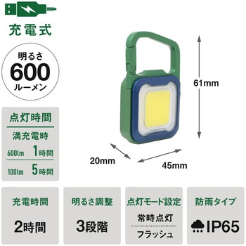 充電式 ぴかり MINI LIGHT ライテックス(ムサシ)
