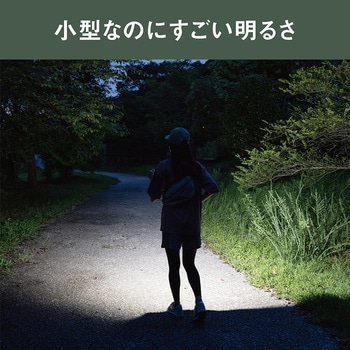 充電式 ぴかり MINI LIGHT ライテックス(ムサシ)