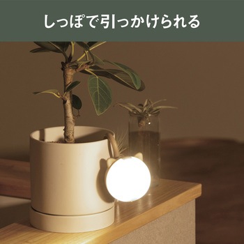 充電式 まんまるねこちゃんセンサーライト ライテックス(ムサシ)