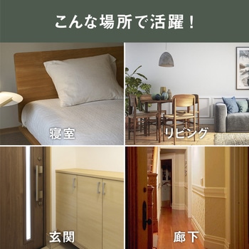 充電式 まんまるねこちゃんセンサーライト ライテックス(ムサシ)