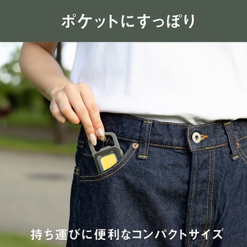 充電式スーパーフラッシュライト 6W ライテックス(ムサシ)