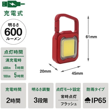 充電式スーパーフラッシュライト 6W ライテックス(ムサシ)