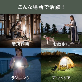 充電式スーパーフラッシュライト 6W ライテックス(ムサシ)