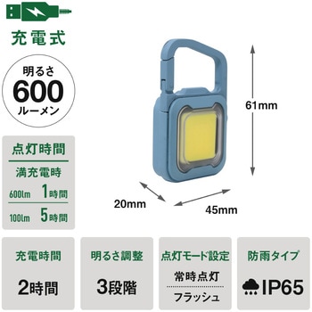 充電式スーパーフラッシュライト 6W ライテックス(ムサシ)