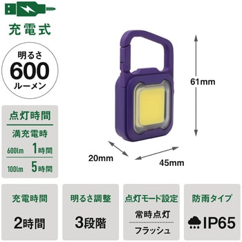 充電式スーパーフラッシュライト 6W ライテックス(ムサシ)