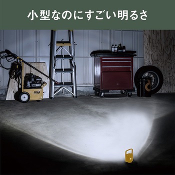 充電式スーパーフラッシュライト 6W ライテックス(ムサシ)