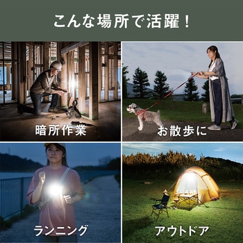 充電式スーパーフラッシュライト 6W ライテックス(ムサシ)