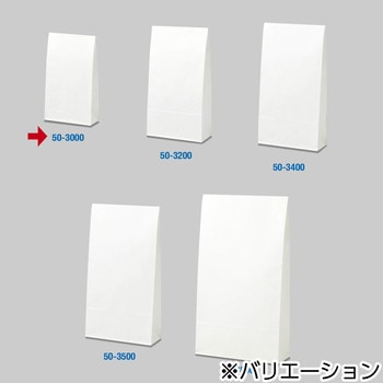 角底袋 白無字 ササガワ