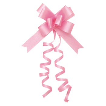 50-7811 ���{���{�E �T�T�K�� 20984407