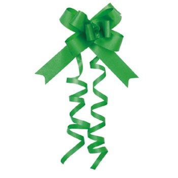 50-7813 ���{���{�E �T�T�K�� 20984416