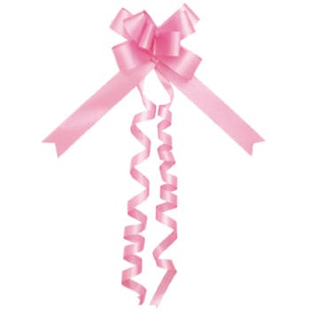 50-7911 リボンボウ ササガワ 20984434